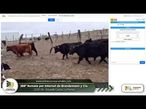 22-07-26 - 288º Remate por Internet de Brandemann y Cía -  Eduardo Castex, La Pampa