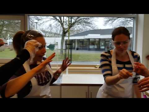 Malmö idrottsgrundskolas avslutningsvideo vt 17