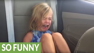 Dad solves mystery of who cut the dog's hair