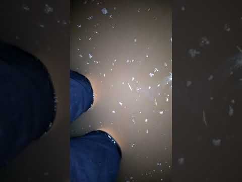 Județul giurgiu comuna bulbucata sat teișori