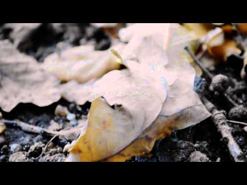 download lagu mp3 mp4 Essence Of Hope, download lagu Essence Of Hope gratis, unduh video klip Essence Of Hope