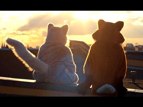 SDP - Kurz für immer bleiben