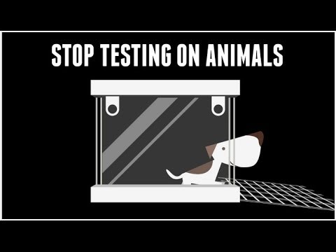 Tail of Toxics - Improving Chemical Safety Without Animals