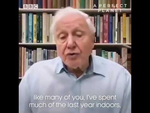 Perfect Planet- David Attenborough