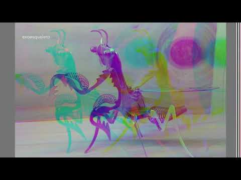 Robert Solheim - Exoesqueleto