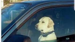 Te importo solo el dinero cadetes de linares