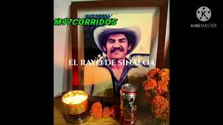 Los Tucanes de Tijuana - El Rayo de Sinaloa