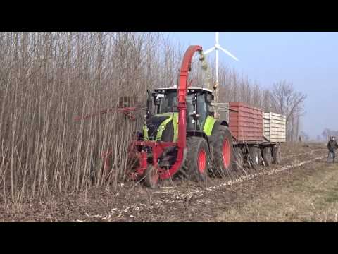 Ernte einer Pappel Kurzumtriebsplantage (KUP) in Wainsdorf (Brandenburg) 17.02.15 (2)