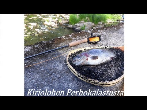 Kirjolohen Perhokalastusta Myllykoskella