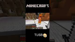 【minecraft】人体発火現象 #shorts #minecraft #マインクラフト