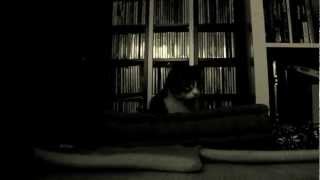 kISS Me mOTHEr (performed by Micah P.Hinson) dancingCAT