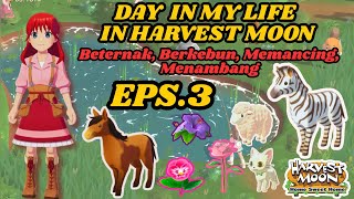 Day In My Life In Harvest Moon EPS.3 | Harvest Moon : Home Sweet Home #games #harvest moon