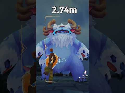 Freljord Champions Sizes