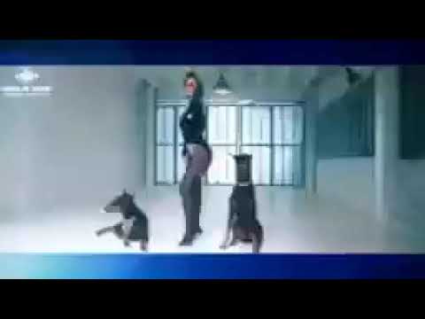 REGGAETON URBANO ILEVEN IN DE  MUSIC LOS REYES DE LA MUSICA ZONA MUSIC RÉCORDS EDITIONS 2022.