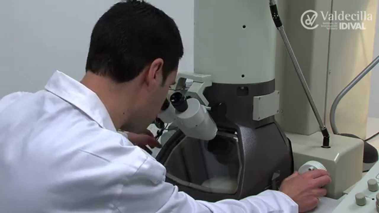 Microscopio Electrónico de Transmisión