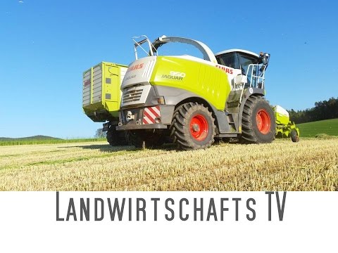 Gras- & Grünroggensilage | 1.Schnitt | 2016 | Claas Jaguar 950