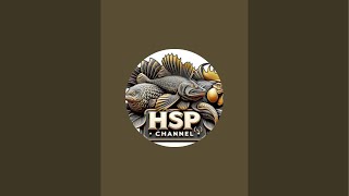 HSP CHANNEL is live! Main ke kandang ayam petelur di subang jawa barat