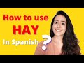 Learn to use HAY in Spanish in 5 minutes! (There is, There are)