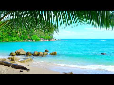 🌴 Tropical Beach Ambience on a Island in Thailand with Ocean Sounds For Relaxation \u0026 Holiday Feeling