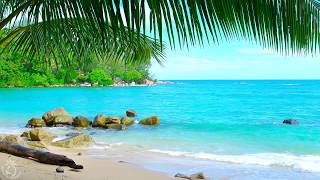 🎧 Tropical Island Beach Ambience Sound - Thailand Ocean Sounds For Relaxation And Holiday Feeling