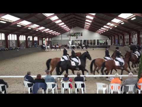 NK Carrousel 2016 - Proef Tio Vivo voorronde