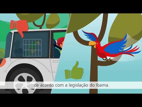 Revisão Meio Ambiente e Cidadania