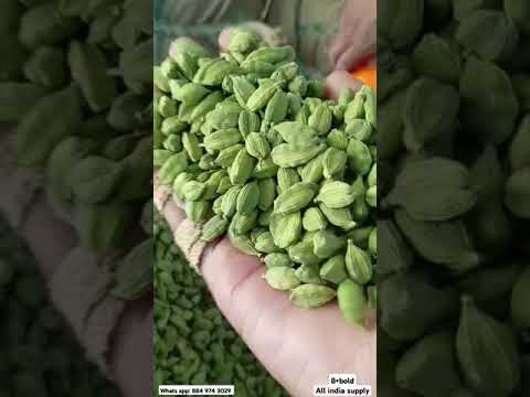 Grade: extra bold green cardamom 8mm
