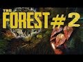CAMP AWESOME The Forest Part 2