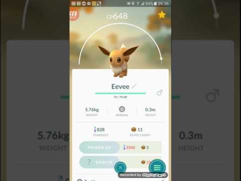 POKEMON GO MOSTRANDO MINHA POKEDEX