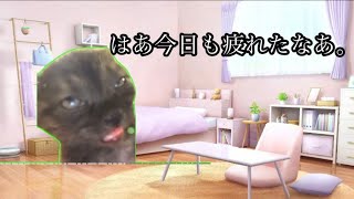 どえろい夢見て仕事に行った日#猫ミーム