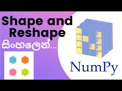Python Numpy Tutorial 08 Shape And Reshape Sinhala