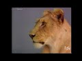 Vin Di Bona Productions ABC 1987