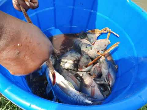 Fighting Malnutrition in 10 Villages of Nyanza