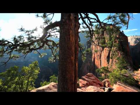 Destination: IRONMAN 70.3 St.George