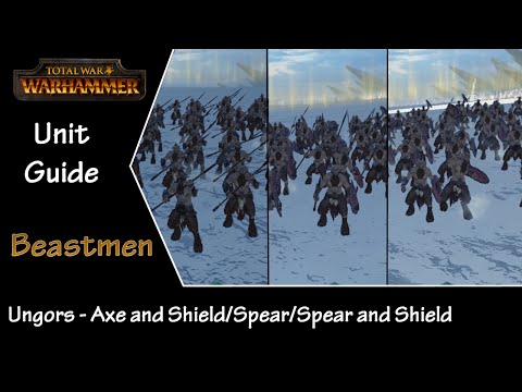 Total War: Warhammer Unit Guide - Beastmen Ungor's - Shield, Spear and Axe