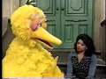 Big Bird And The Cuckoos