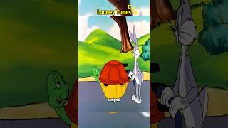 Tortoise strapped a rocket propulsion system onto its shell. #cartoon #foryou #fyp