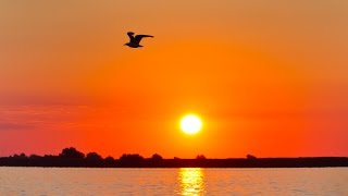 Find Your Writing 'Zen'