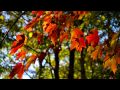 The Blood of Cuchulainn - Mychael & Jeff Danna ...