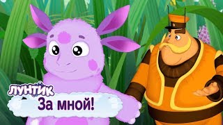 За мной! 🏃 Лунтик 🏃 Сборник мультфильмов 2019