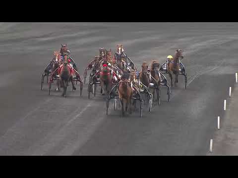 CRITERIUM 3 ANS - Qualif#3 - Prix Annick Dreux - La course
