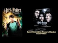 18. "Forward to Time Past" - Harry Potter and the ...