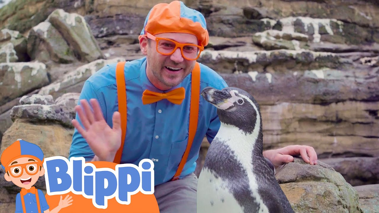 The Penguin Song | BLIPPI | Educational Songs For Kids