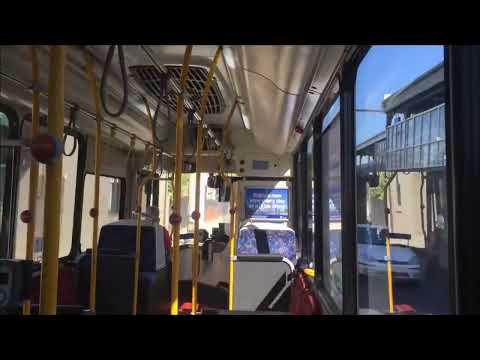 Bus driver whistling making Kingsgrove's 2442s 5th gear sound ever better then amazing!
