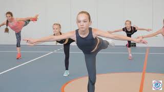 Удочка для занятий в фигурном катании