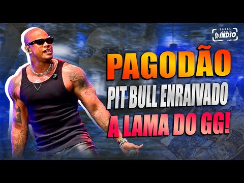 LÉO SANTANA - PAGODÃO | PitBull Enraivado + Deixa botar Boneco + Mete seu Cachorro | POÇÕES - BA