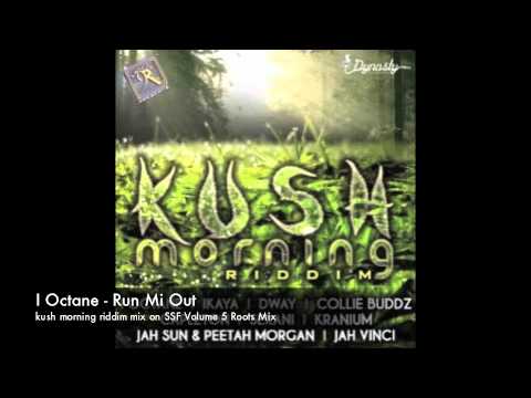 Kush Morning Riddim Mix (sneak peak to SSF 5 Roots Mix)