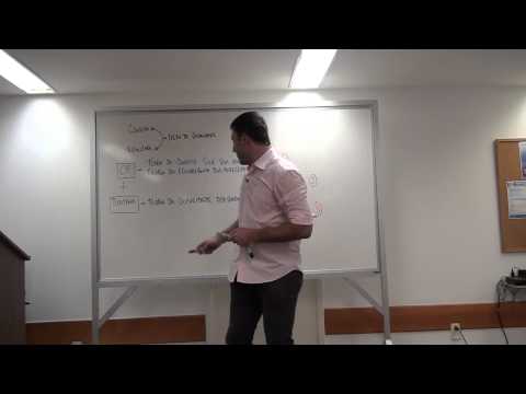 Dir Penal e Proc. Penal - Leonardo Galardo