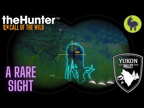 A Rare Sight, Yukon Valley | theHunter: Call of the Wild (PS5 4K)
