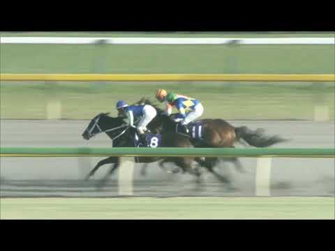 2020 Challenge Series: Mozu Ascot - February Stakes